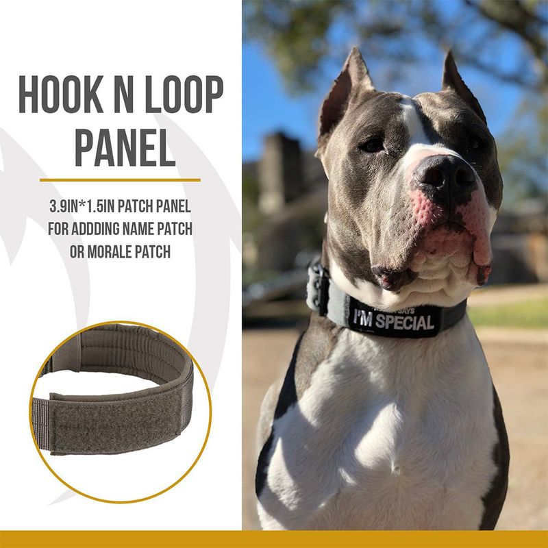 Collare tattico per esterni in nylon con guinzaglio regolabile, senza strozzo, per cani di piccola, media e grande taglia_voghion.com