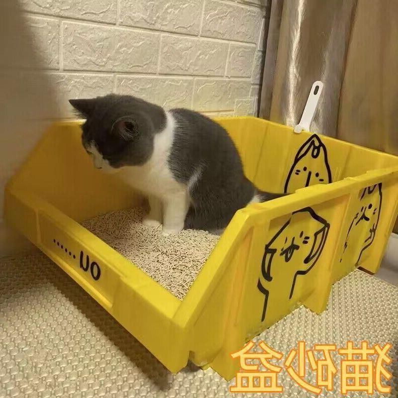 Bac à litière extra-large pour chat Maine Coon, grand récipient, entièrement ouvert, géant, par défaut_voghion.com