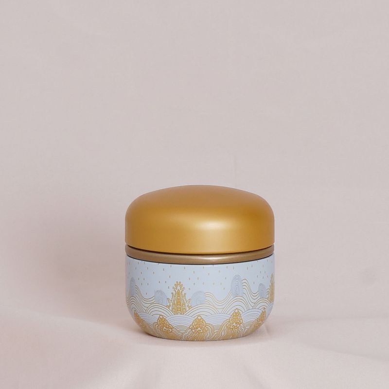 Universal Sealed Small Metal Tea Caddy Mini Portable Travel Round Cans Packaging Box Iron Storage Jar_voghion.com