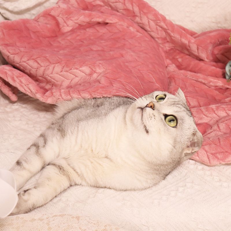 Weizenohr kleine Haustier Katze Nest Matte Hund Wärme Abdeckung Korallen Samt verdickte Decke_voghion.com