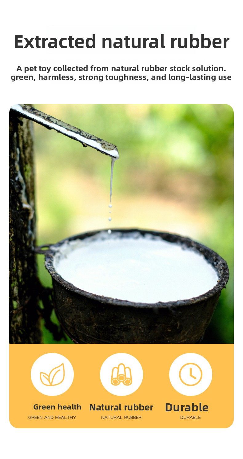 Jouet vocal pour chien, bâton molaire résistant aux morsures de maïs charnu, saveur bacon, jouet pour animaux de compagnie_voghion.com