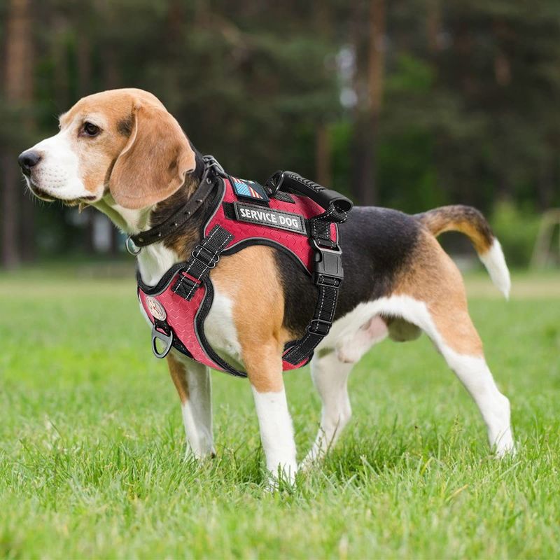 New Explosion-Proof Shock Absorption Night Vision Reflective Pet Chest Harness Vest-Style Leash_voghion.com