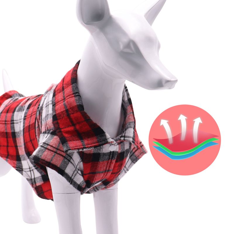 Dünne kleine Hunde Corgi Teddy Haustier Kleidung Sommer atmungsaktiv Anti-Shedding Katzenkleidung_voghion.com