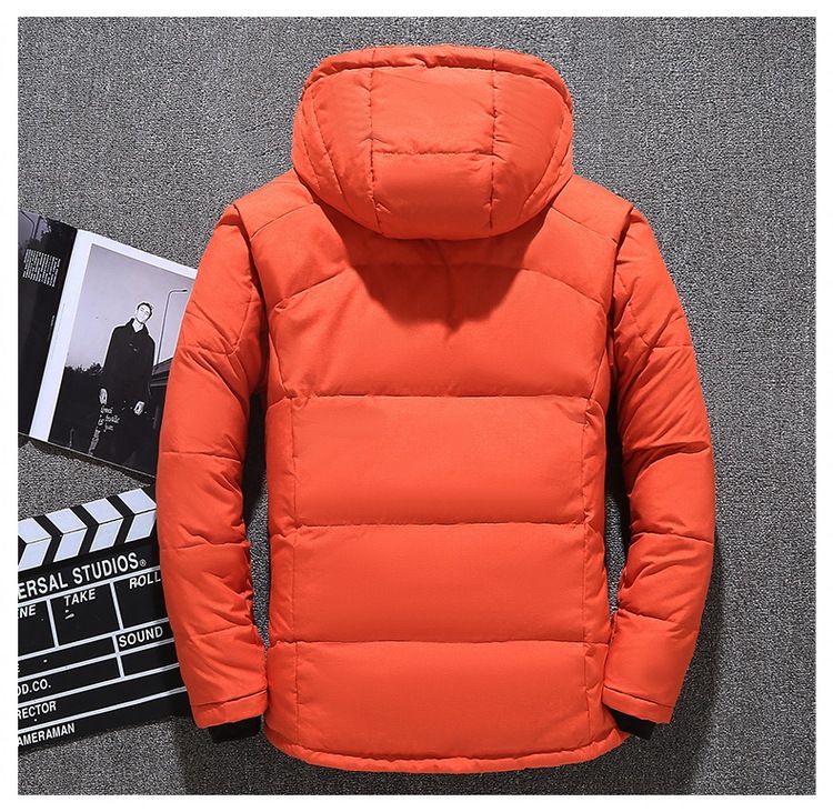 Veste d'hiver à capuche pour homme – Manteau thermique épais pour l'extérieur et les loisirs, coupe-vent et garni de duvet (M-5XL, coupe ample)_voghion.com