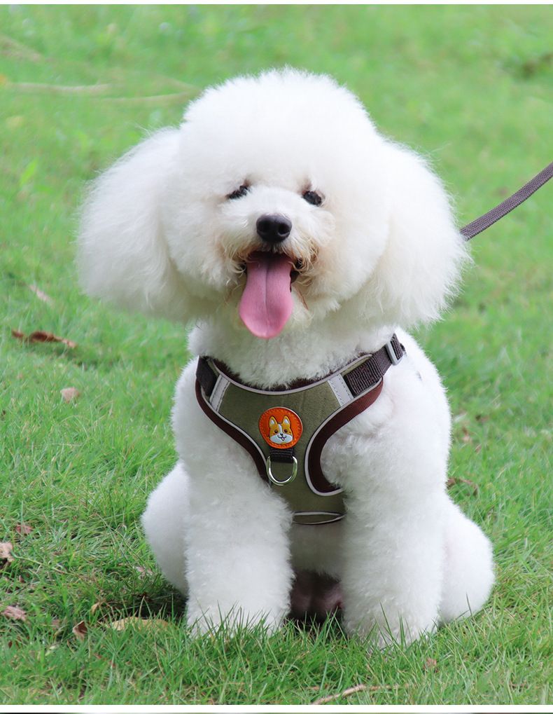 Colete Peitoral Refletivo para Cães e Gatos com Guia Respirável - Acessórios para Animais de Estimação_voghion.com