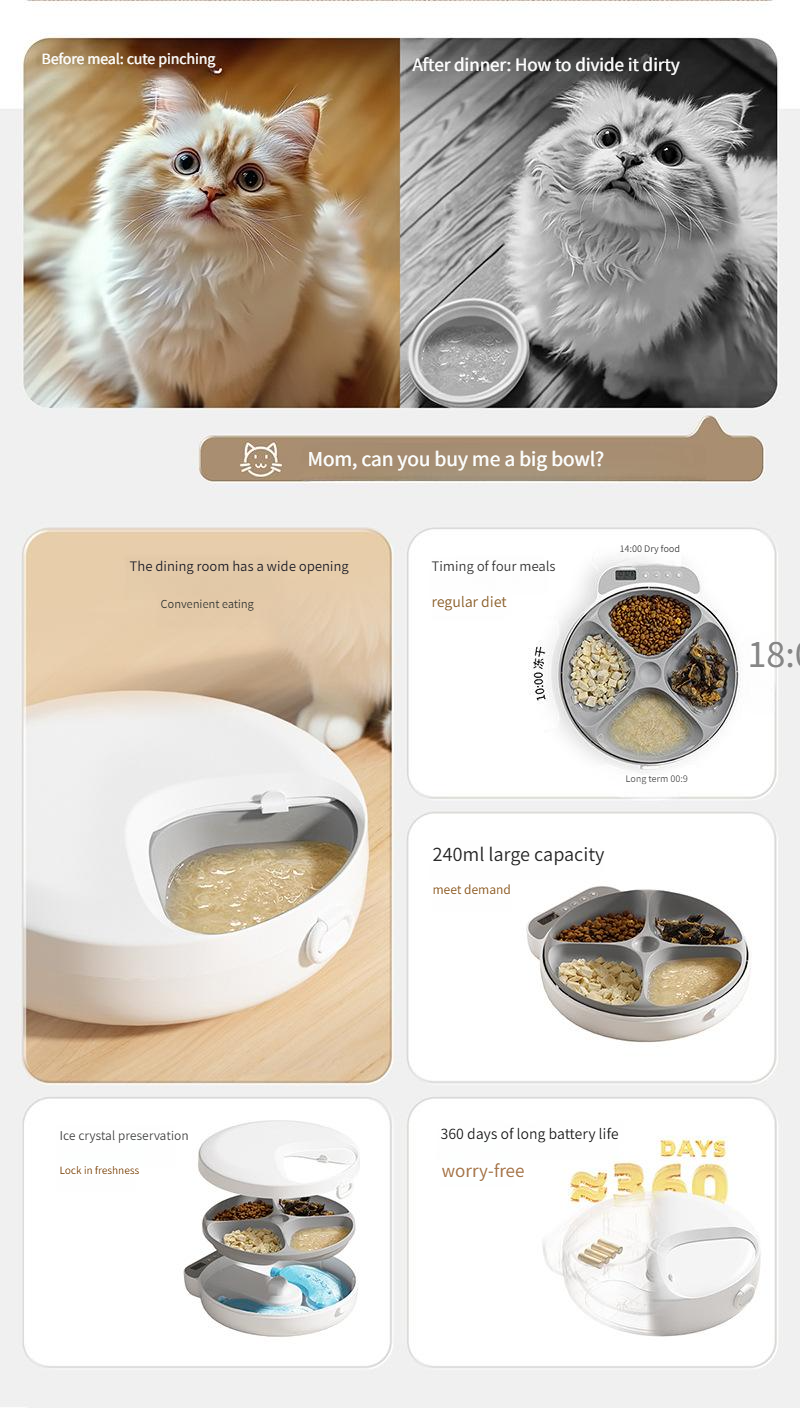 Paiwang Four-meal Timed Feeder Supports Canned Wet Food Ice Crystal Box For Preservation And Refrigeration_voghion.com