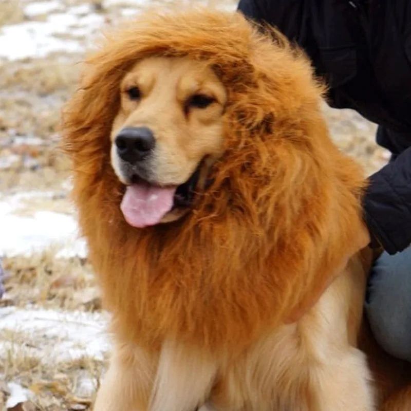 Niedliche Cosplay-Kleidung für Hunde, Löwenmähne für Hundekostüme, realistische Löwenperücke für mittelgroße bis große Hunde mit Ohr-Haustierzubehör_voghion.com