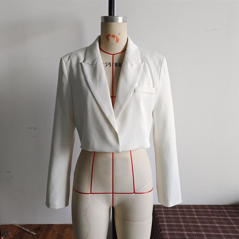 Women's Clothing 2024 Autumn Winter New Style Personality Fashion Simple Short Blazer Jacket For Women_voghion.com