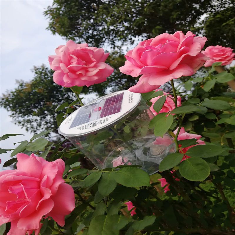 Lámpara de luz portátil inflable plegable con energía solar de 10 LED para acampar, para jardín, patio, luz solar LED para exteriores_voghion.com