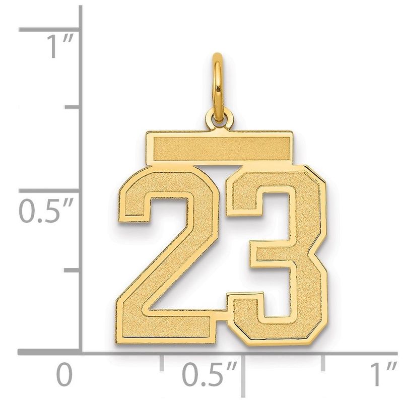 14k Medium Satin Number 23 Charm_voghion.com