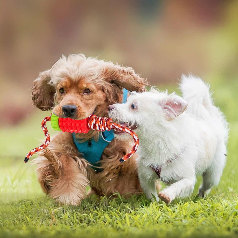 Pet Supplies New Toothbrush Teeth Stick Dog Intelligence Toy_voghion.com