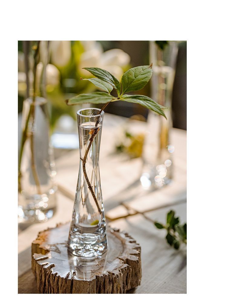 【 46000 People Collected 】 Juhan Nordic Ins High Beauty Arrangement Water Nourishing Small Vase Glass Transparent_voghion.com