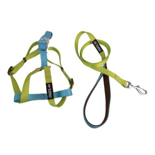 LED Flashing Pet 2-Piece Set Dog Chest Harness Color Block Style Leash_voghion.com