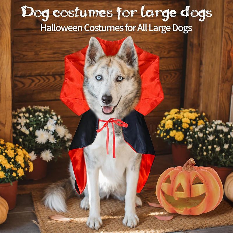 Halloween Vampire Costume Atmosphere Magic Witch Cloak Funny Cat Dog Cape_voghion.com