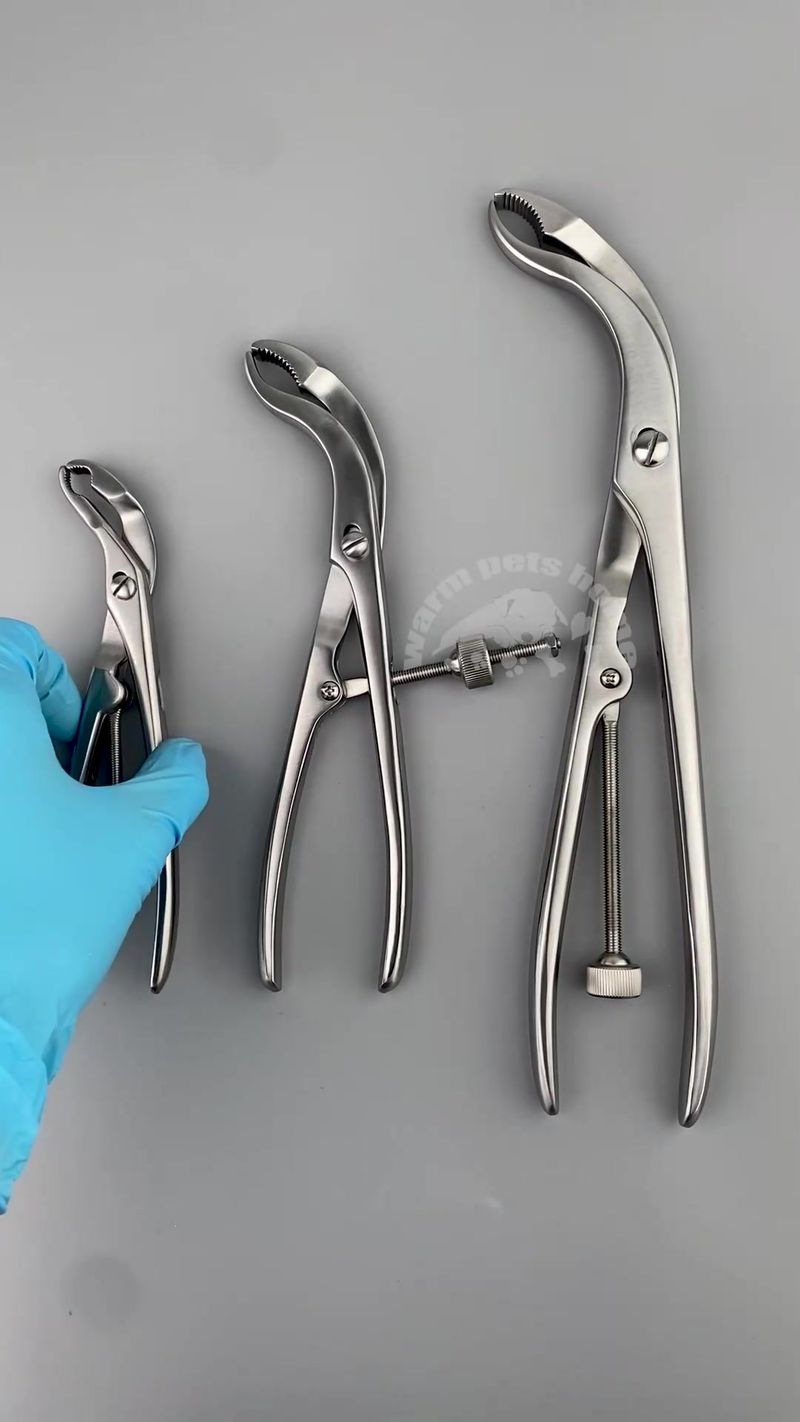 Veterinary Bone Forceps Verbre Stainless Steel By PawParty Store_voghion.com