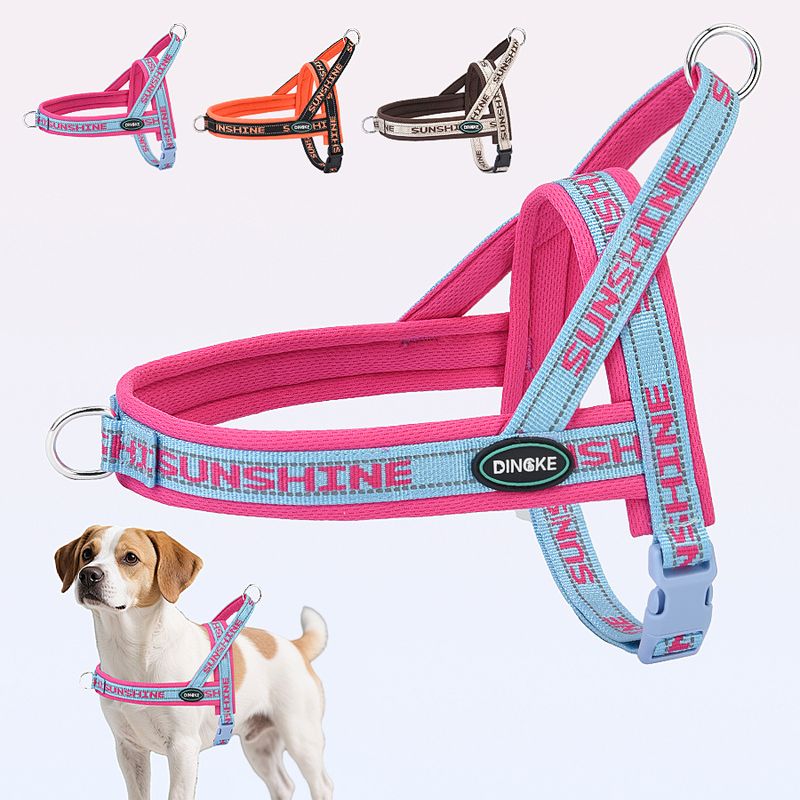 Nuovo guinzaglio e pettorina per cani di piccola e media taglia, per cani di piccola e media taglia, per cani Corgi, Bichon e Teddy._voghion.com