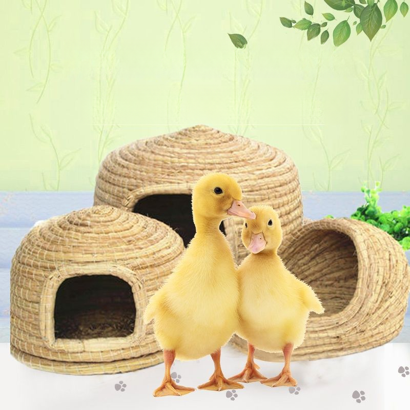 Nest zur Aufzucht kleiner Enten, Gras-Nymphensittich-Nest, Haustier-Käfig für kleine gelbe Enten_voghion.com