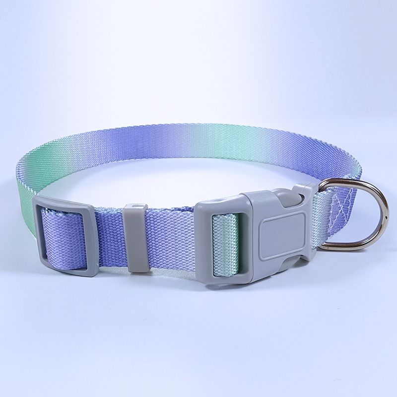 Guinzaglio Dopamina Gradient Color Gilet Pettorina Catena Corda per Cani_voghion.com