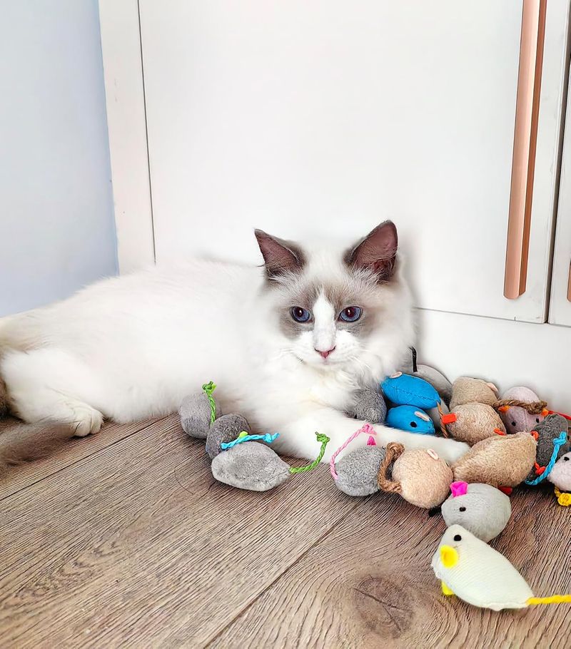3/200 pezzi di giocattoli per gatti e topi con sonaglio, anche pre-riempiti con erba gatta, giocattoli per gatti in pelliccia sintetica, gioco interattivo per gatti, giocattoli con erba gatta per gatti da interno._voghion.com