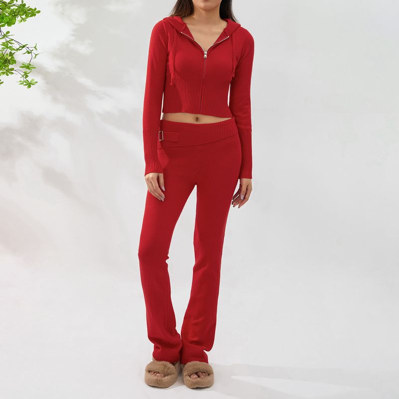 Traje de punto con capucha para mujer, conjunto de dos piezas con pantalones de manga larga y cintura alta, sexy y moderno, estilo europeo y americano, 2023_voghion.com