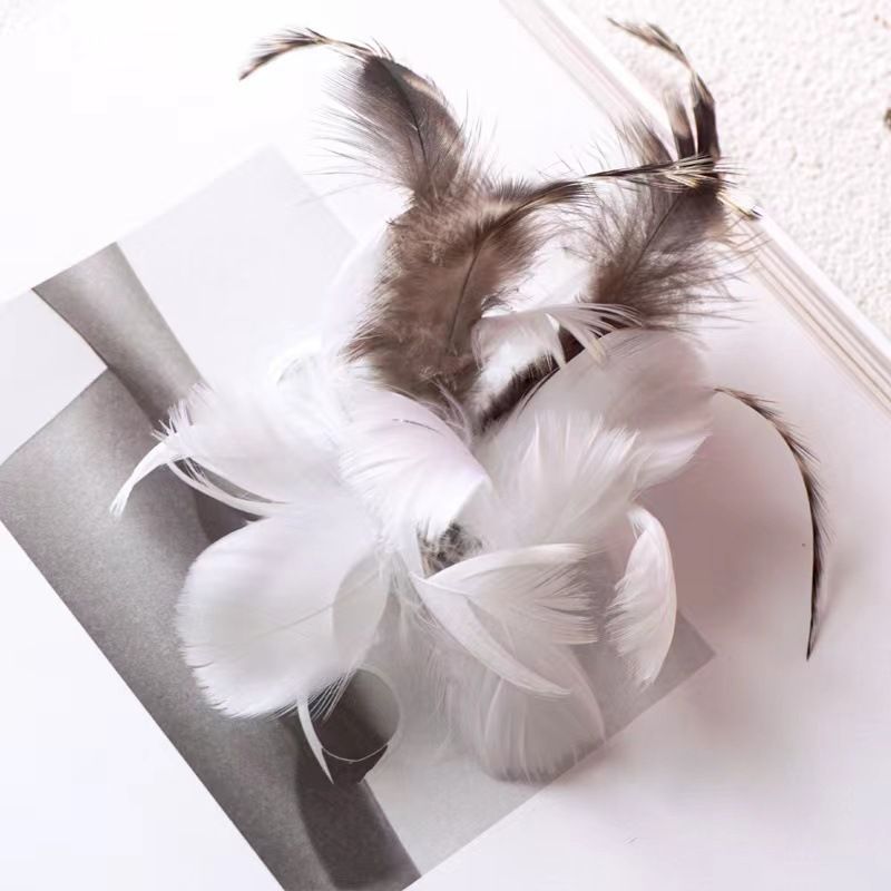 Forniture Campana Piuma Testa di ricambio Filo telescopico Bacchetta Teaser Giocattolo per gatti_voghion.com