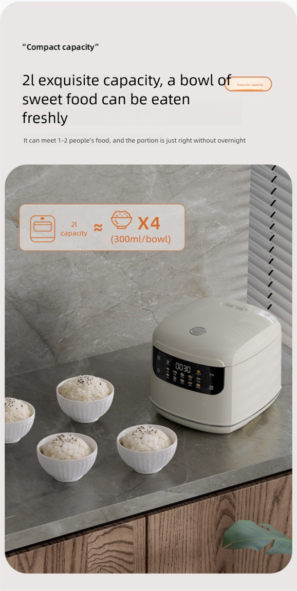 2L Mini Rice Cooker - Multifunctional Household Smart Pot For 2-3 People Compact 110V_voghion.com