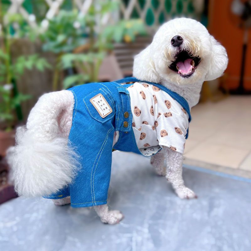 Dog Denim Overalls Spring And Autumn Versatile Pet Clothes Teddy Bichon Pants Gift_voghion.com