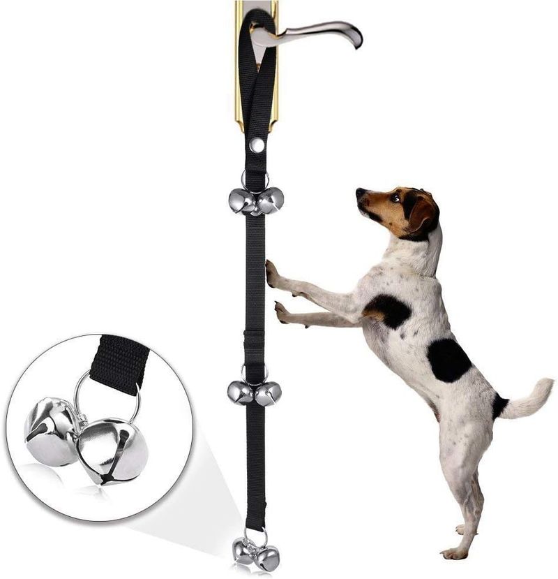 Hund Türklingel Hund Glocken Toilettentraining Puppy, Interne Ausbildung Türklingel - Länge Verstellbare Hunde Türglocken (Schwarz)_voghion.com