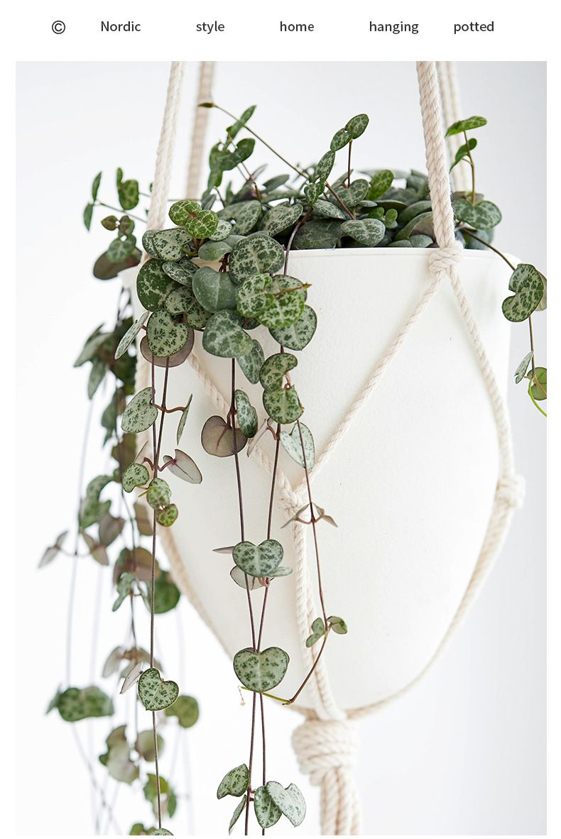 Gartenbedarf Lazy D Hängender Blumentopf, Automatische Wasseraufnahme, Mattierter Dekorativer Hängender Blumentopf, Kunststoff-Wasserspeicher-Blumentopf_voghion.com