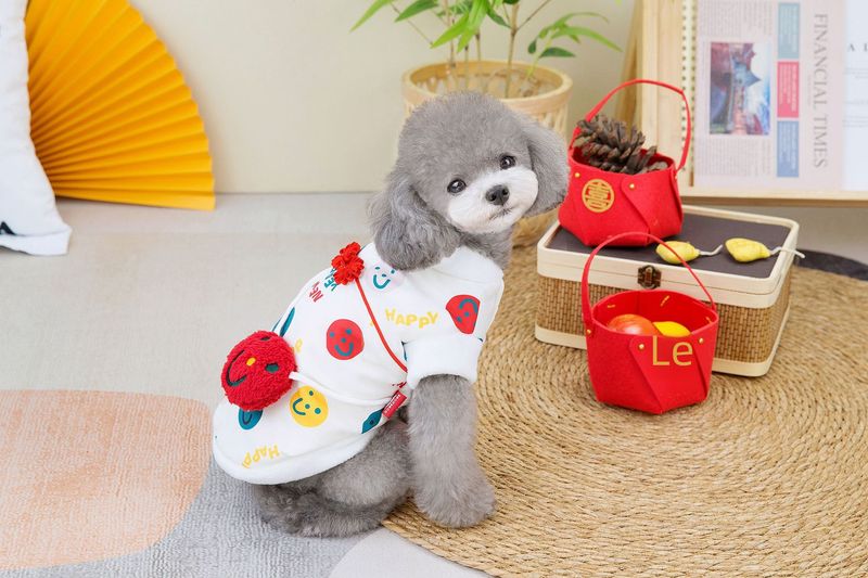 I produttori forniscono vestiti per cani con faccina sorridente per capodanno, vestiti per cuccioli, Teddy Corgi, vestiti in pile polare per animali domestici_voghion.com