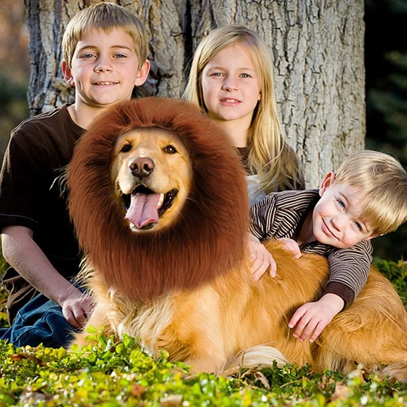 Niedliche Cosplay-Kleidung für Hunde, Löwenmähne für Hundekostüme, realistische Löwenperücke für mittelgroße bis große Hunde mit Ohr-Haustierzubehör_voghion.com