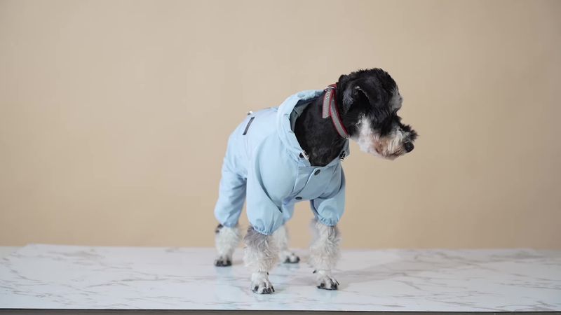 Dog Raincoat, Puppy Jumpsuit, Waterproof Jacket, Bulldog Small And Medium-sized Dog Clothing, Hooded Raincoat For By PawParty Store_voghion.com