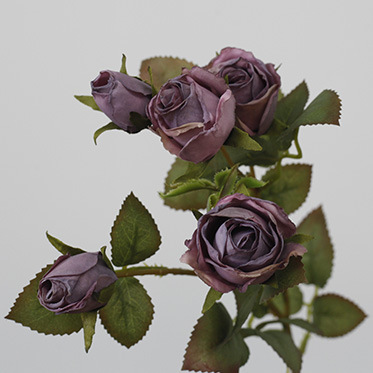 Retro gebrannt Kant dréchen kënschtlech Blummen Seideblummen Imitatioun gedréchent Blummen Rosen 5-Käpp Rose Blummenarrangement_voghion.com