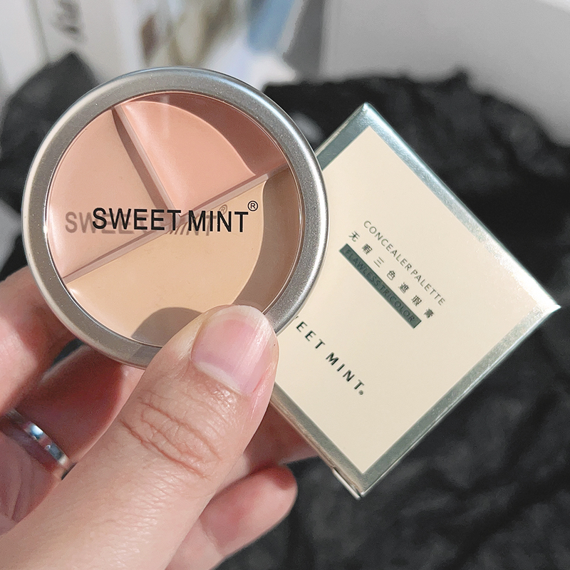 Concealer-Palette, wasserfeste Creme-Textur, deckt Akne-Markierungen, Augenringe, multifunktionales Make-up, langlebig, Bri ab_voghion.com