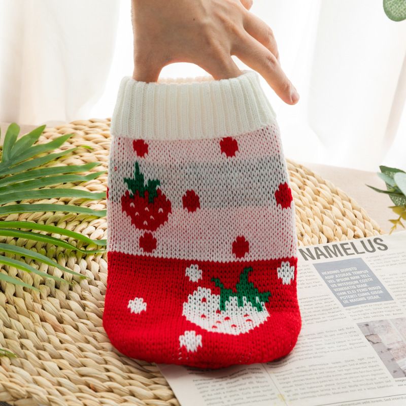 New Pet Autumn Winter Style Cat Dog Clothes Bichon Corgi Knitted Sweater_voghion.com