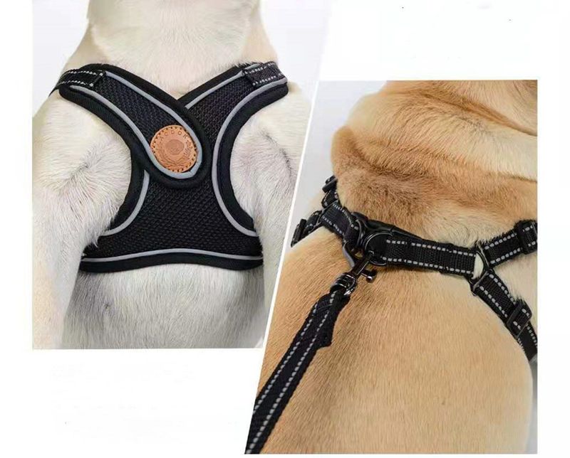 Pet Chest Harness Leash Set Walking Rope Cat Chain Dog Anti-Pull Adjustable_voghion.com