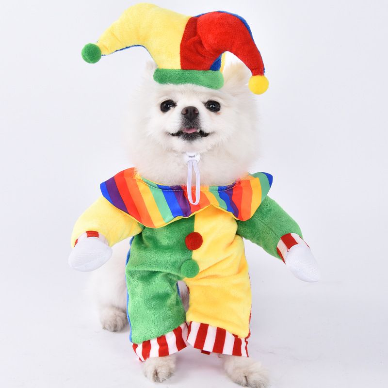 Halloween-Hundekleidung für kleine Hunde, lustiges und skurriles Transformations-Outfit, Teddy-Katze, kreative Haustierbekleidung_voghion.com