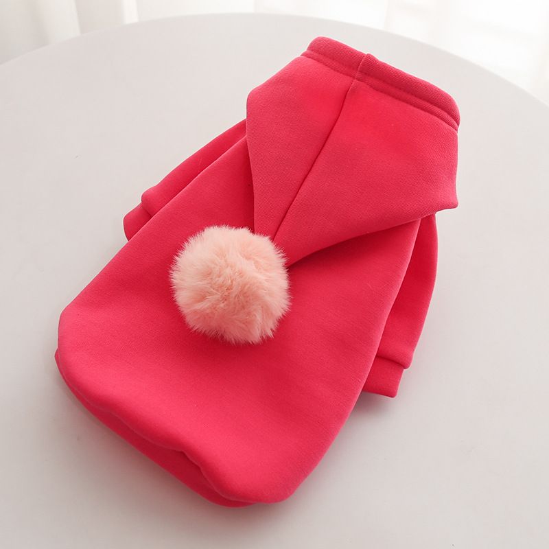 Maglione con cartone animato con palla cane gatto animale domestico Teddy Fadou autunno e inverno abbigliamento forniture Tide marchio Bomei all'ingrosso_voghion.com