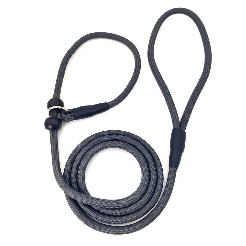 Kleine P-String-Leine, ultradünn, integriert, professionelles Training, P-Kette, explosionsgeschützt, für Hunde_voghion.com