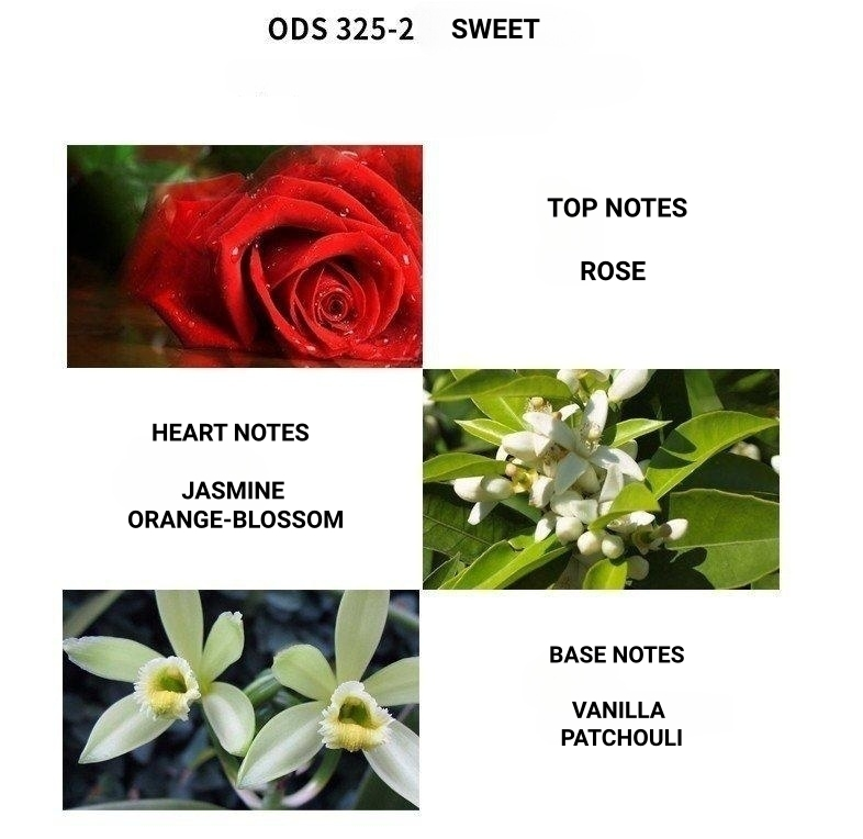 Profumo personale di lusso, duraturo e avvincente, profumo di fiori per ragazze, regalo perfetto per le madri per il festival_voghion.com