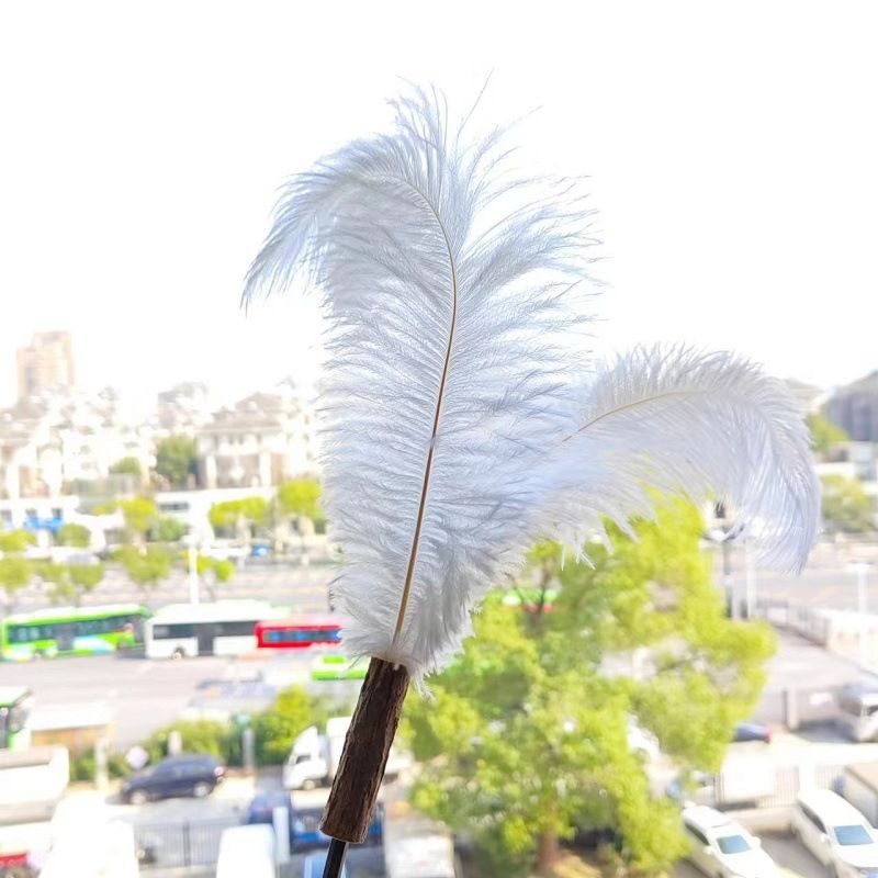 Pet Supplies Extra Long Rod Pheasant Feather/Ostrich Feather Wand Interactive Bell Cat Teaser Toy_voghion.com