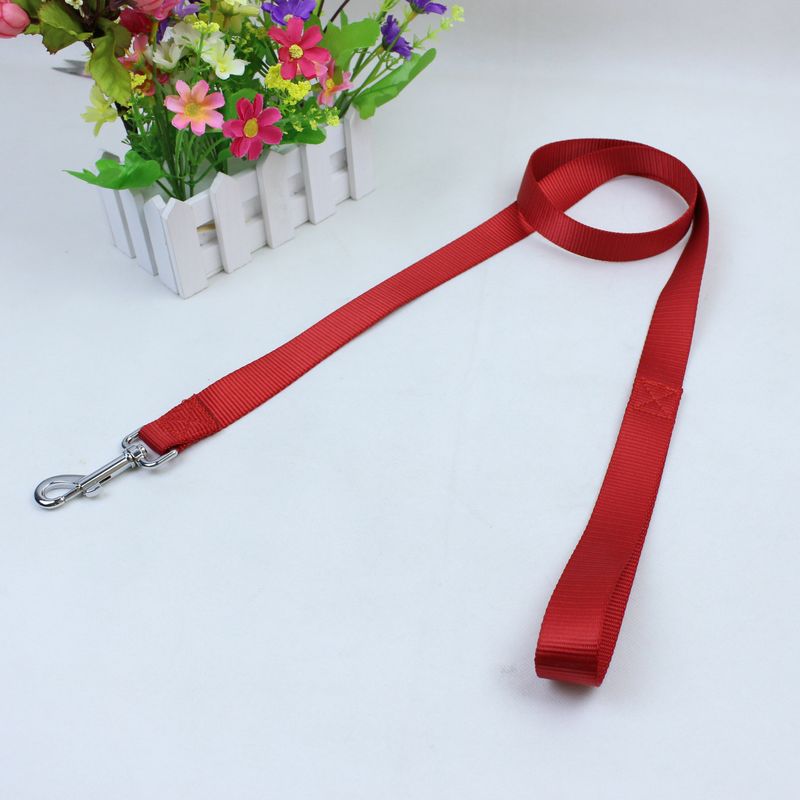 High-Quality Plain Nylon Pet Leash_voghion.com