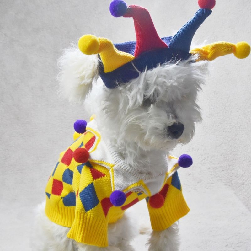 Autumn And Winter Cute Funny Crazy Circus Clown Sweater Halloween Cat Set Pet Dog Clothes_voghion.com