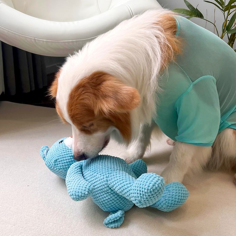 Pluszowy miś dla kota, dużego psa, z dźwiękiem, niebieski, pluszowy miś, pluszowy miś, buldog francuski, golden retriever, shiba inu_voghion.com
