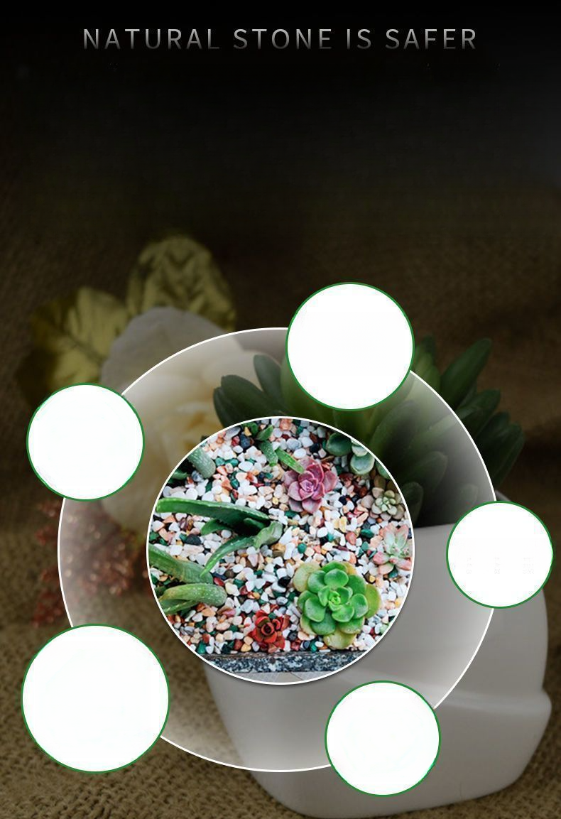 Natural Multicolored Rain Flower Five-Flower Base Sand Succulent Top Stone Pebble Landscaping Fish Tank Colorful Stones_voghion.com