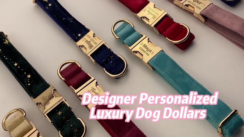 Samthalsband und für Hunde, Hellviolett, Individuell graviert, Haustierbedarf, Hundeleine Veet05 von PawParty Store_voghion.com