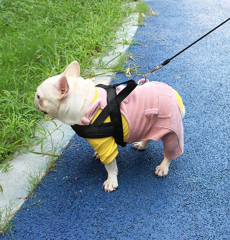 Tombul Pug Köpekler İçin Fransız Bulldog Kıyafetleri Elastik Ayarlanabilir Omuz Askılı Kore Kadife Tulumlar_voghion.com