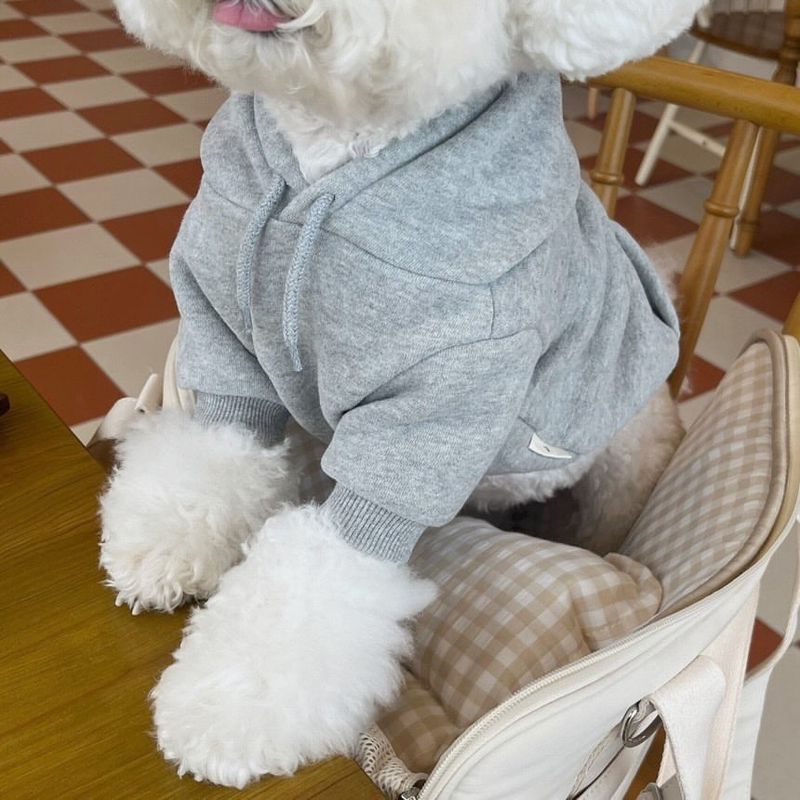 Autumn Winter Hooded Versatile Fleece Sweatshirt Teddy Pomeranian Bichon Schnauzer Pet Cat Small Dog Clothes_voghion.com