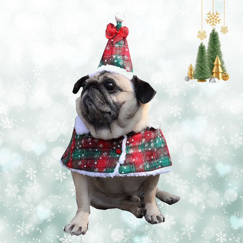 Creative Pet New Halloween Transformation Funny Cat Clothes Cloak_voghion.com