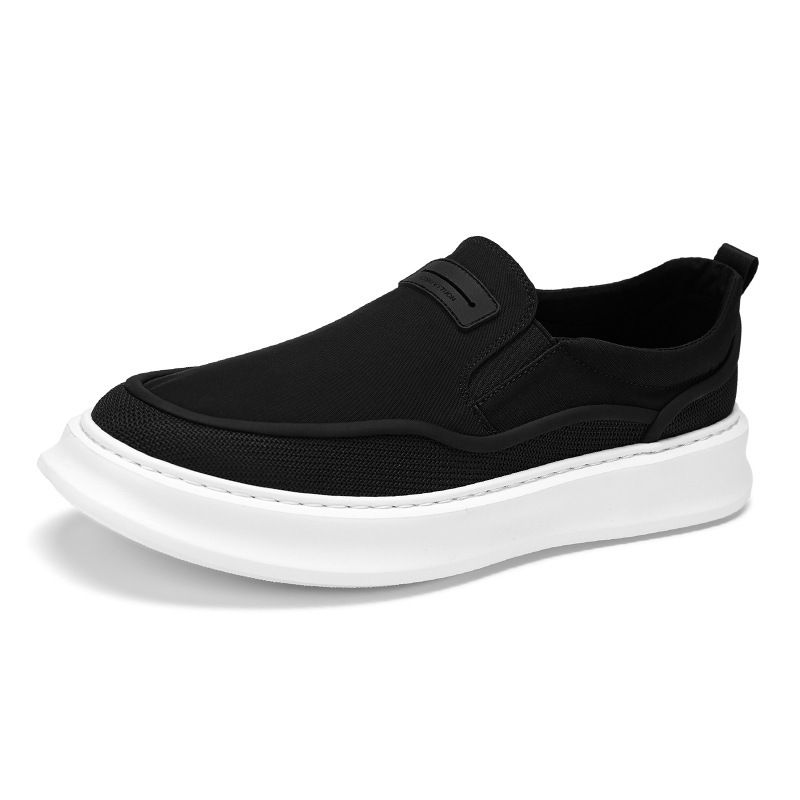 2025 New Summer Lightweight Trendy Versatile Canvas Men's Cloth Breathable Casual Shoes_voghion.com